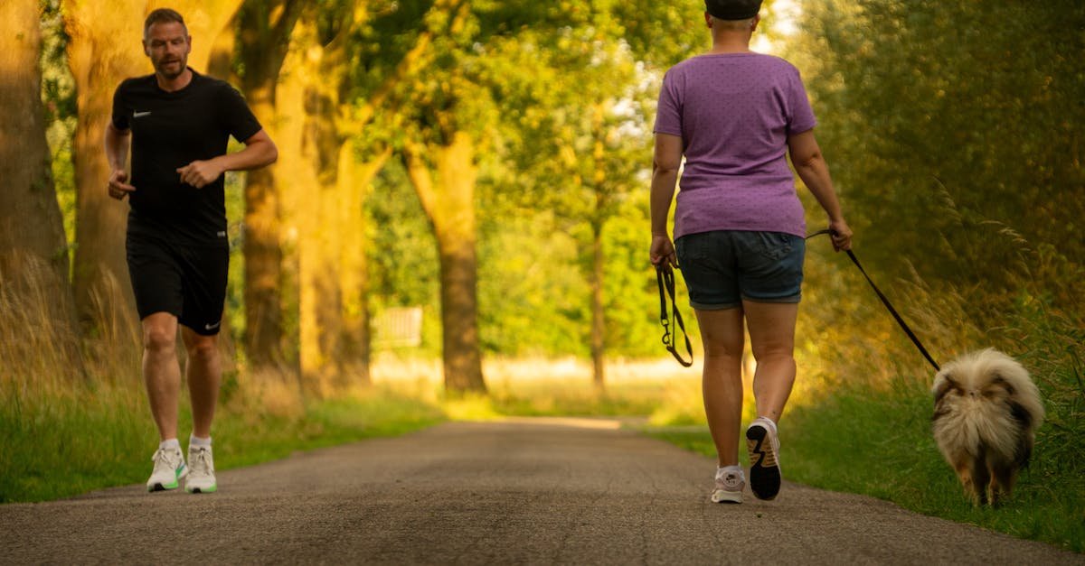 Gezonde wandelingen maken: praktische tips om dagelijks te bewegen